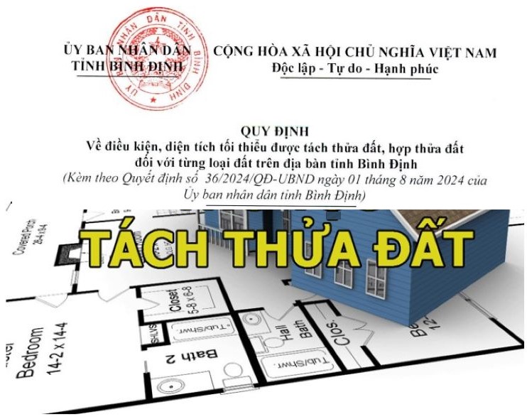 Quy Định Mới về Tách - Hợp Thửa của tỉnh Bình Định