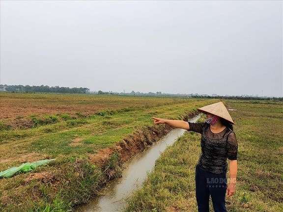 Quá thời hạn mà người dân không nộp hồ sơ gia hạn thì không được gia hạn sử dụng đất. Ảnh minh họa: Phan Anh