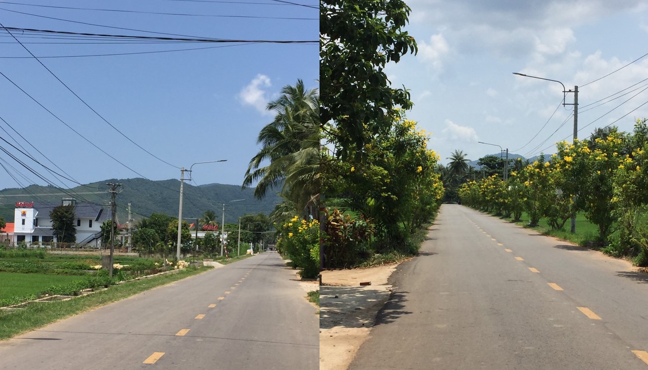 đất nền giá rẻ hoài nhơn