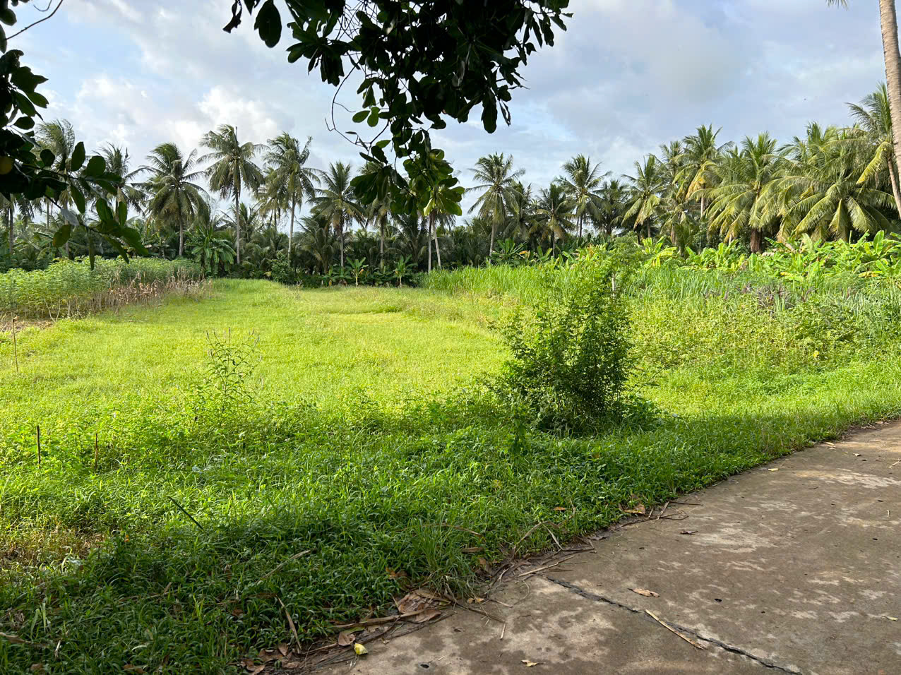 đất nền bồng sơn hoài nhơn giá rẻ