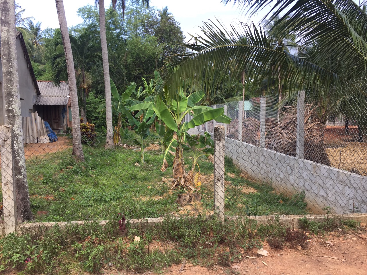 đất nền giá rẻ hoài nhơn