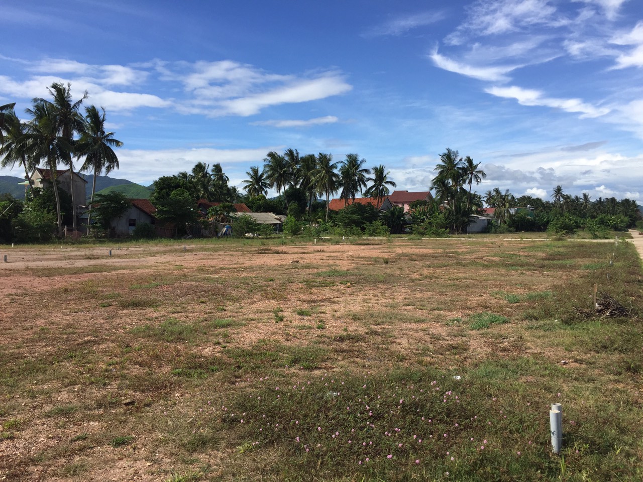 đất nền hoài nhơn giá rẻ