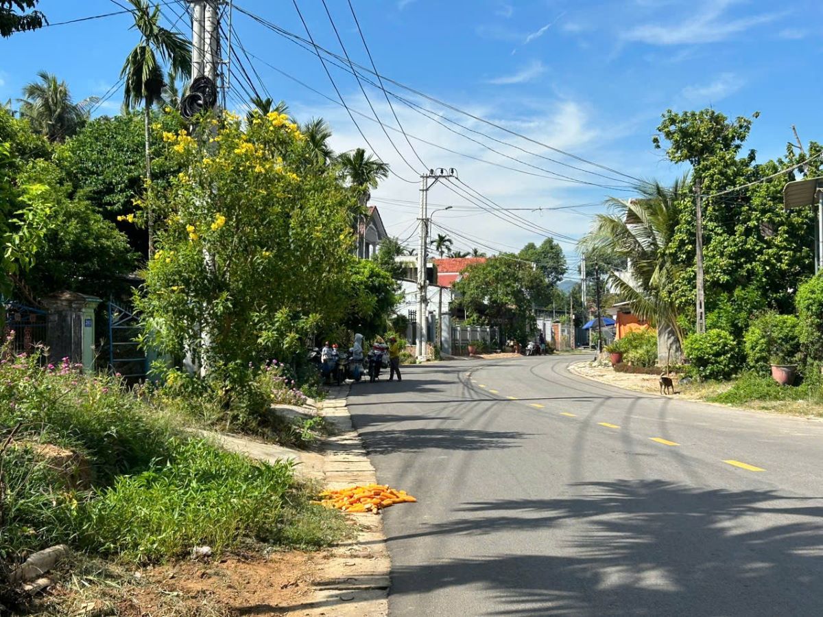 đất nền hoài nhơn giá rẻ