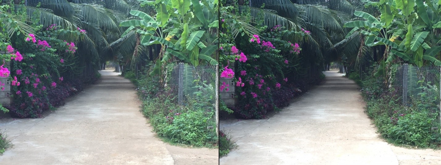 đất nền hoài nhơn giá rẻ