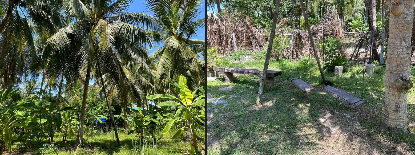 đất nền hoài nhơn giá rẻ