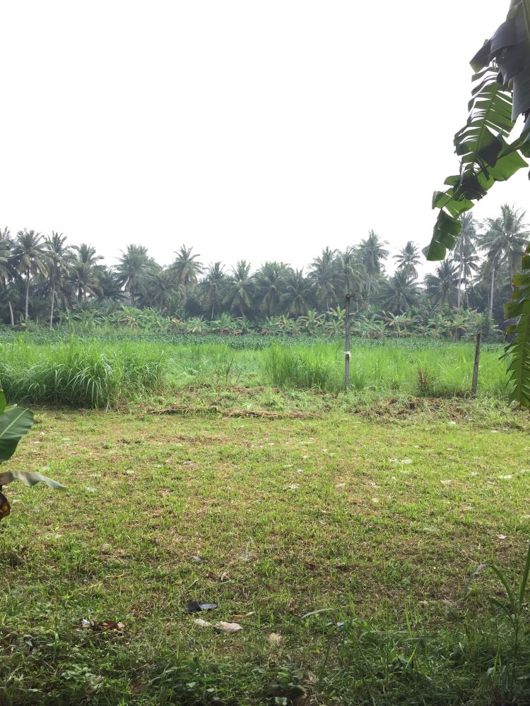đất vườn hoài nhơn giá rẻ