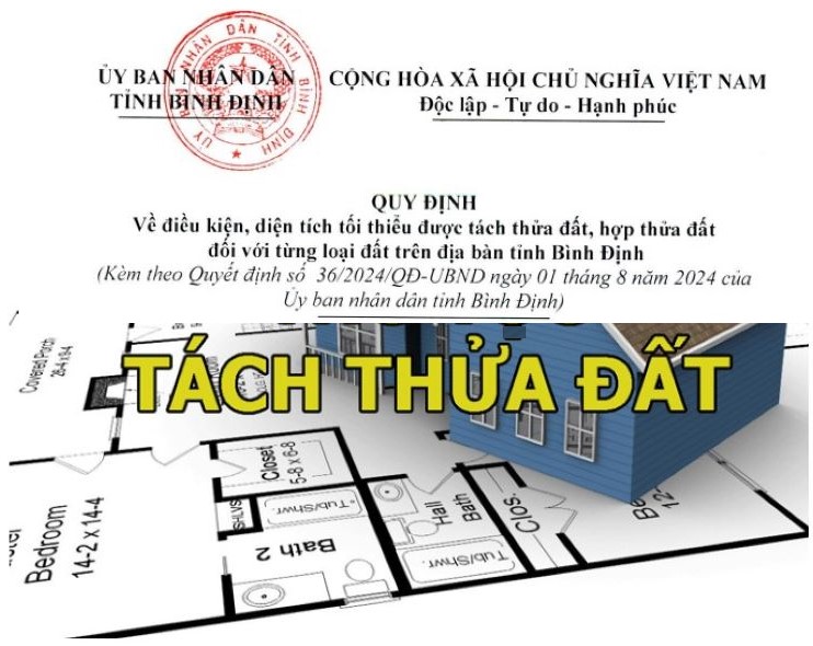 quy định của tỉnh bình định về diện tích tách thửa